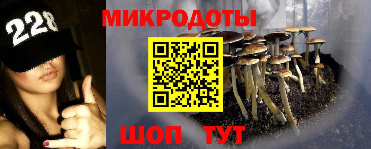 Псилоцибиновые грибы Psilocybe  Псилоцибиновые грибы мицелий  Конаково  Вход с VPN 